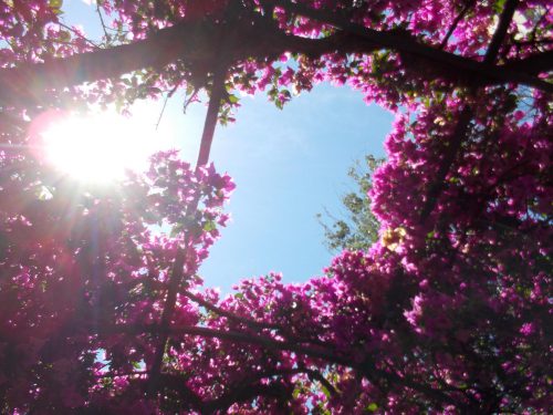 ¿Quién se resiste a tomar el sol de mañana?