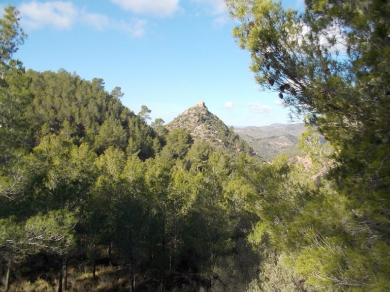 Castillo de la Real de Olocau