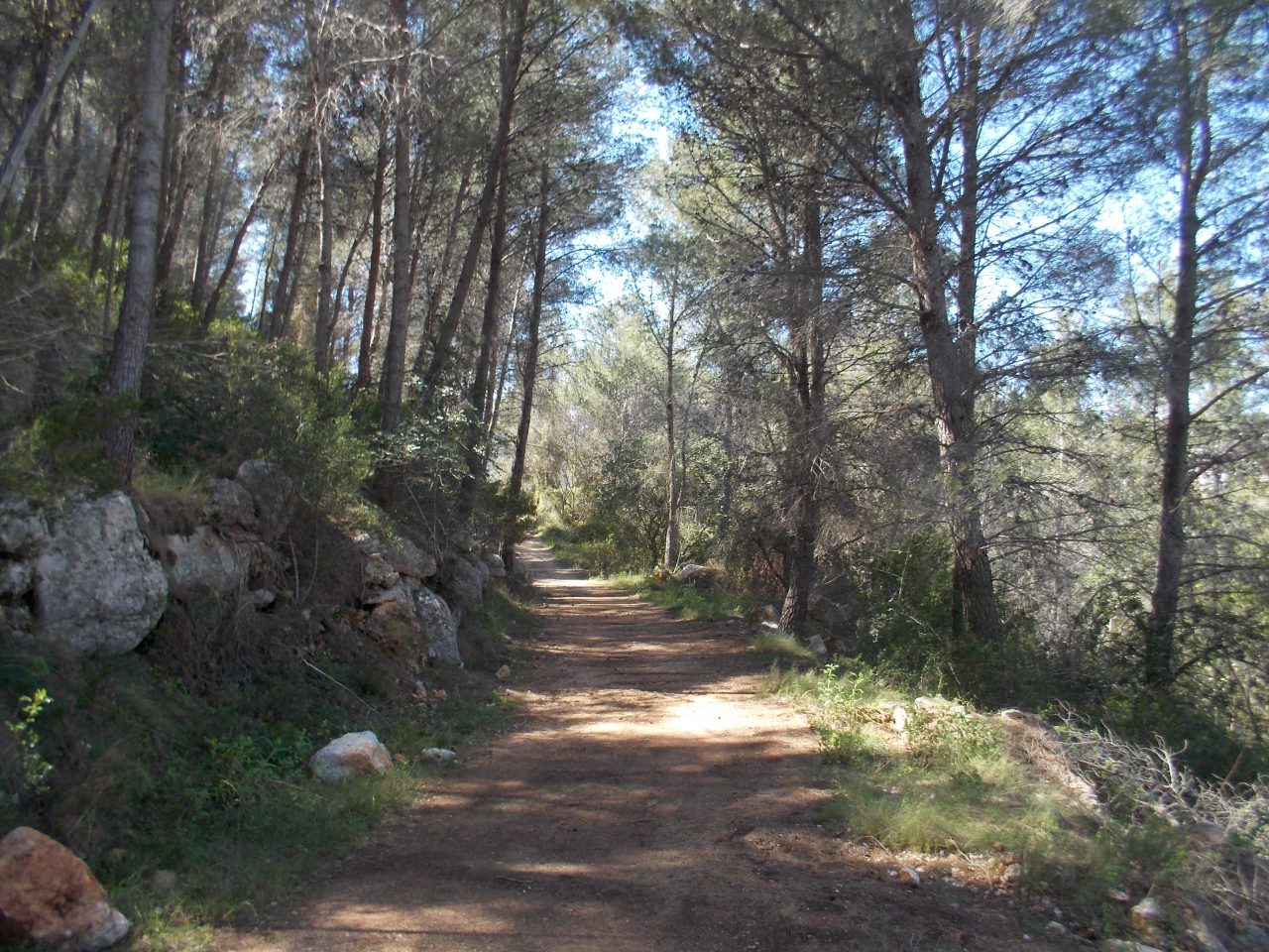 Apetece descubrir qué hay más allá de este hermoso camino