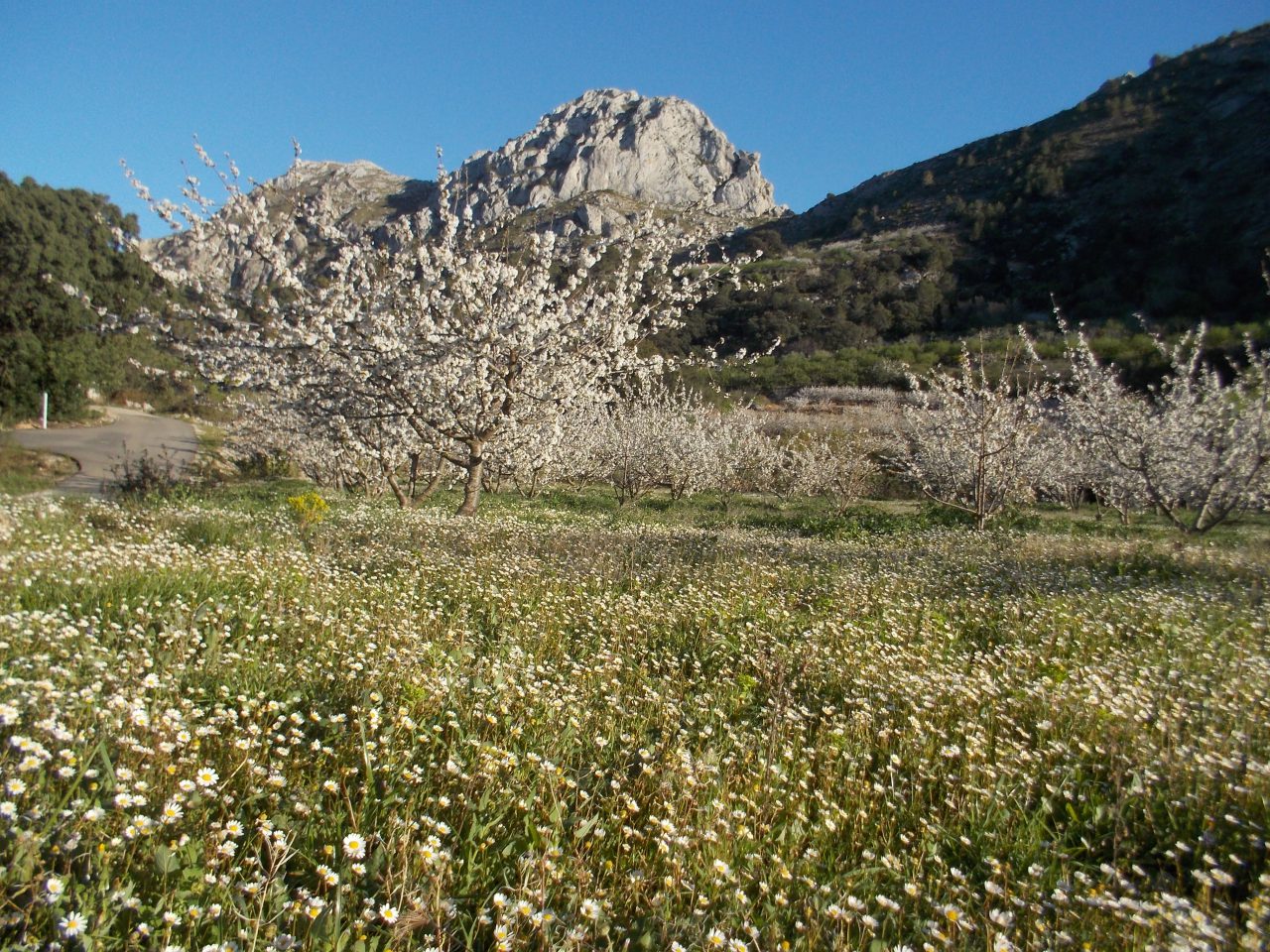 Vall de Laguar