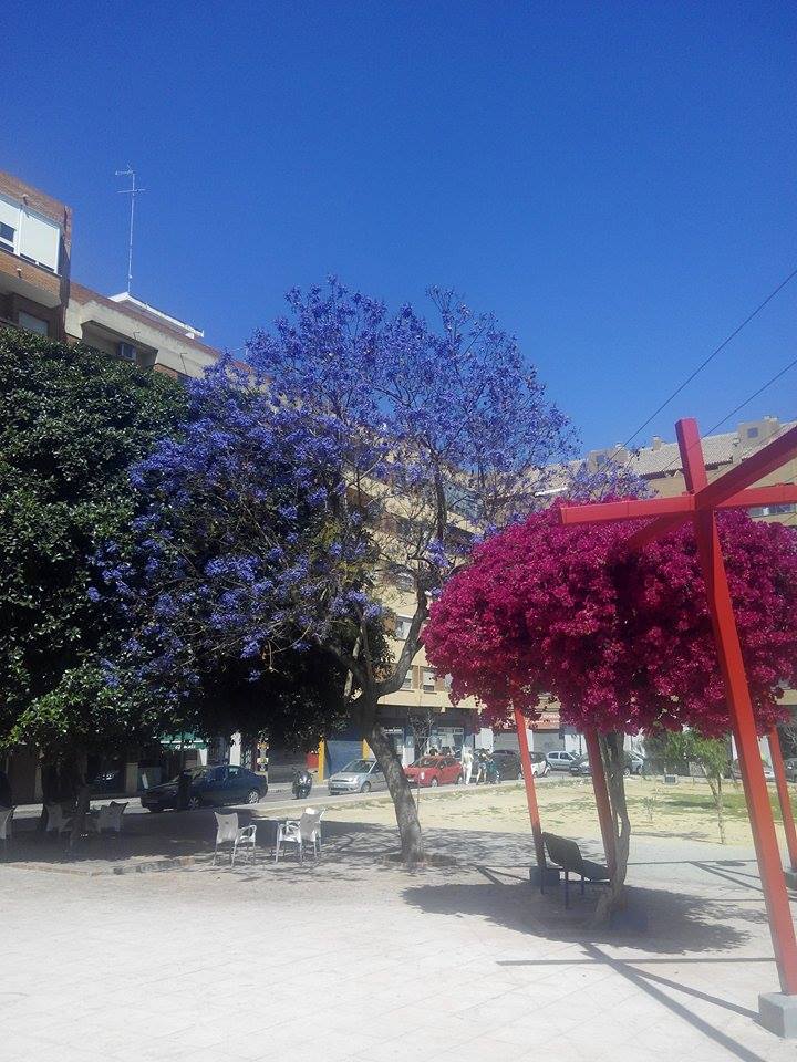 Plaza del Bisbe Laguarda