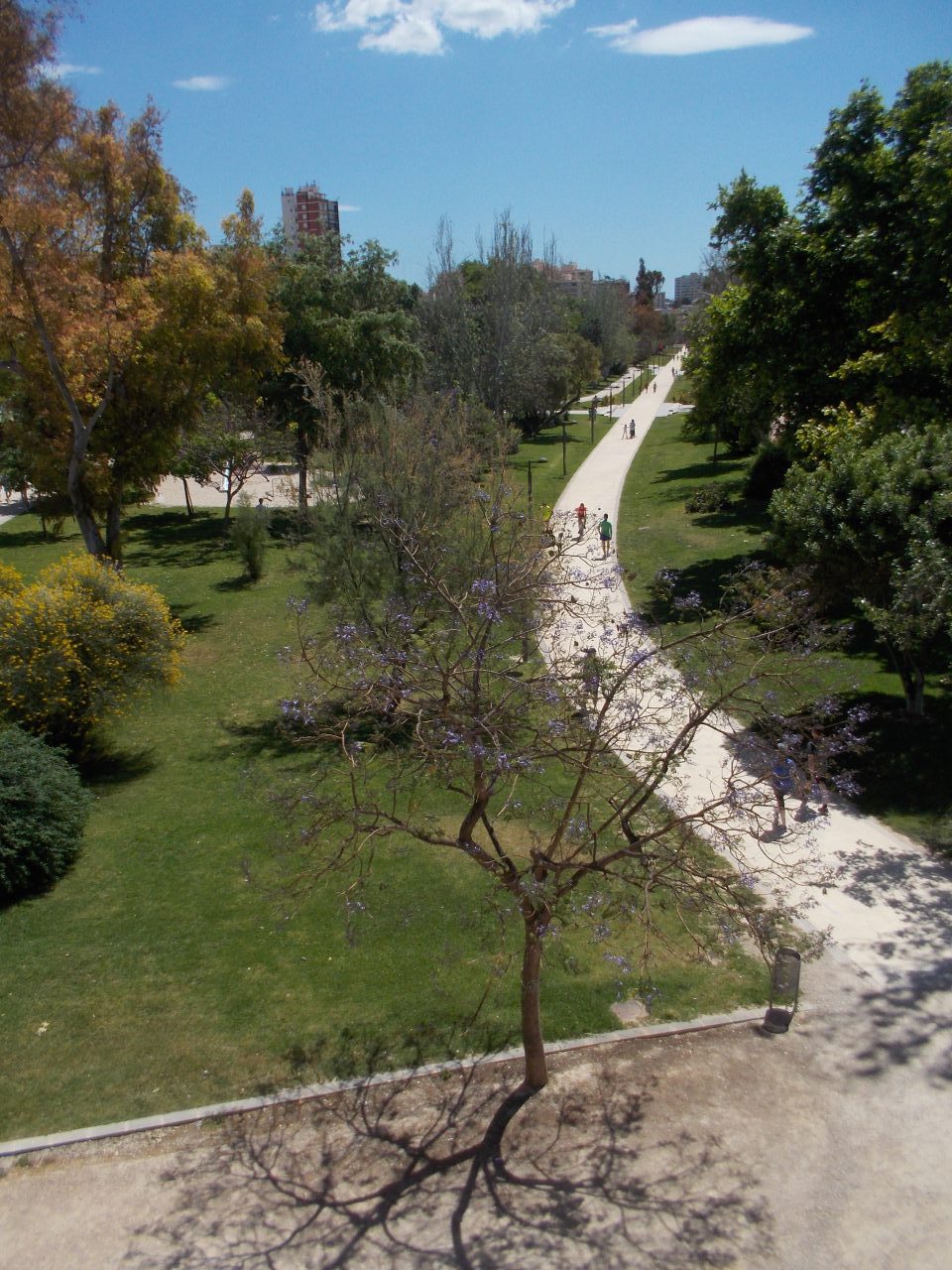 Jardín del Turia