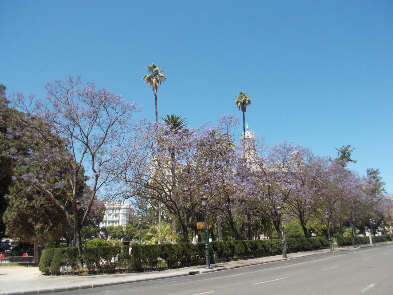 Jardines del Parterre