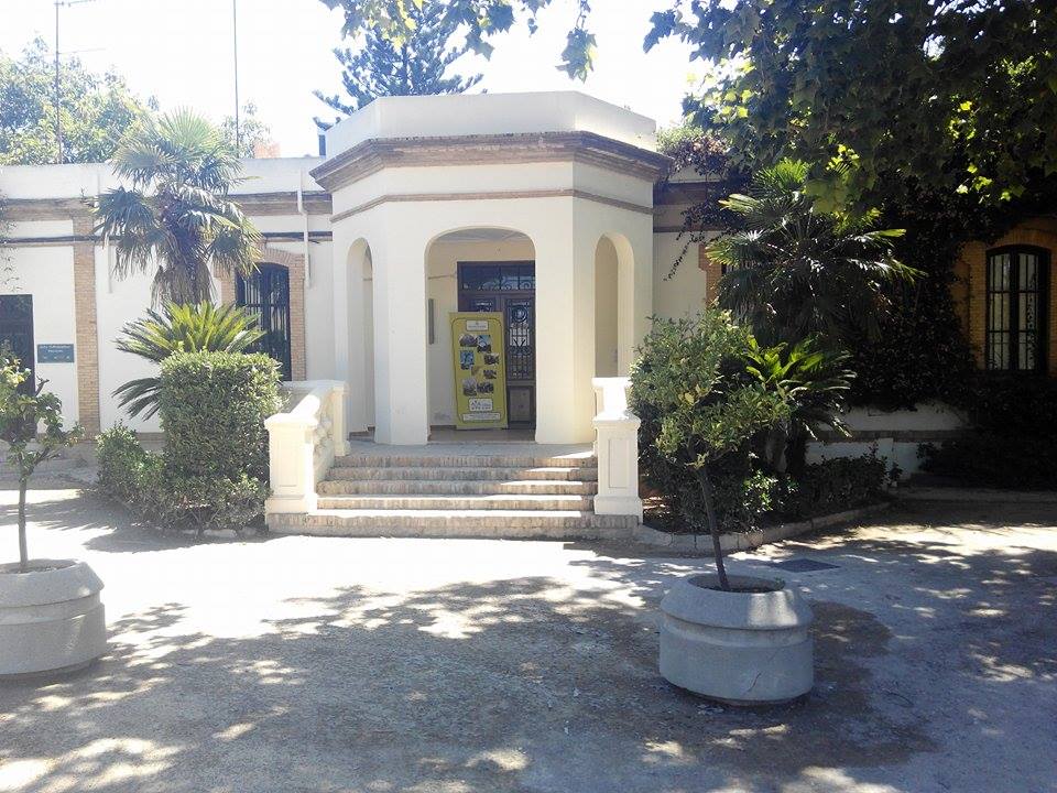 Observatorio Munical del árbol