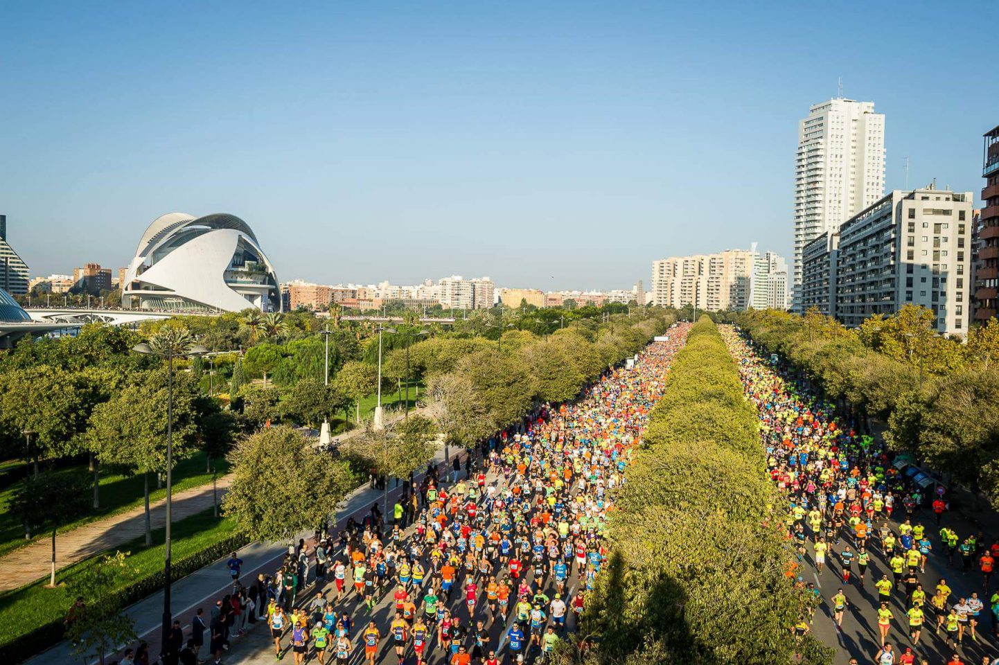inscripciones maratón valencia