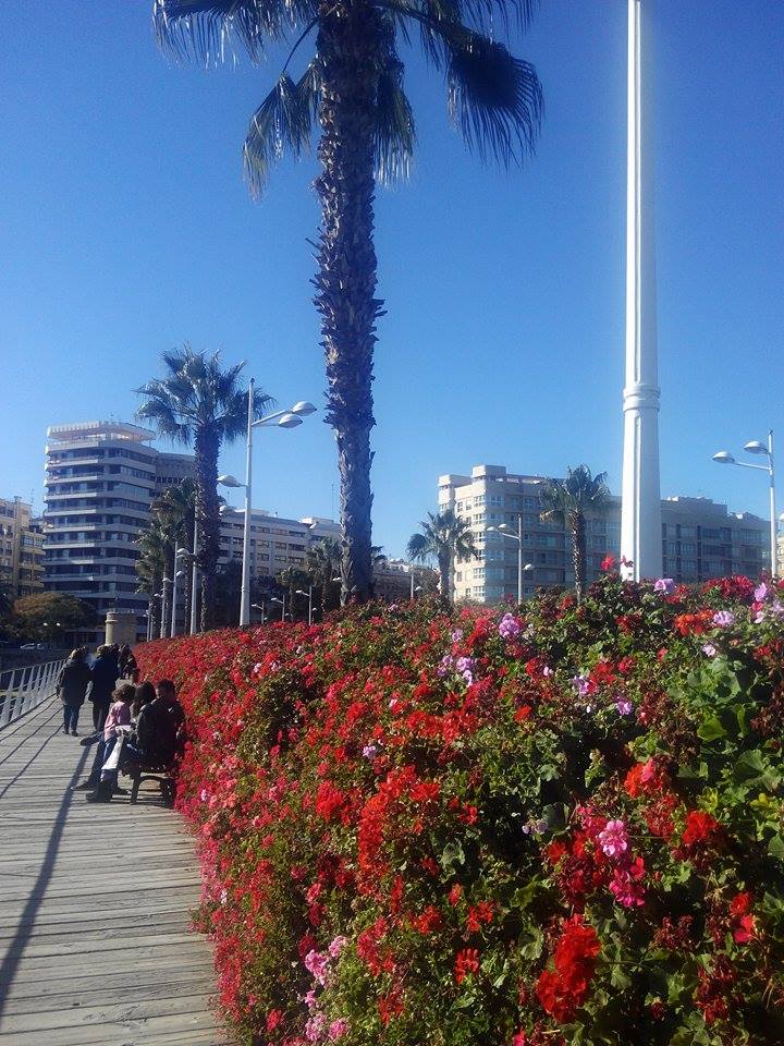 puente de las flores