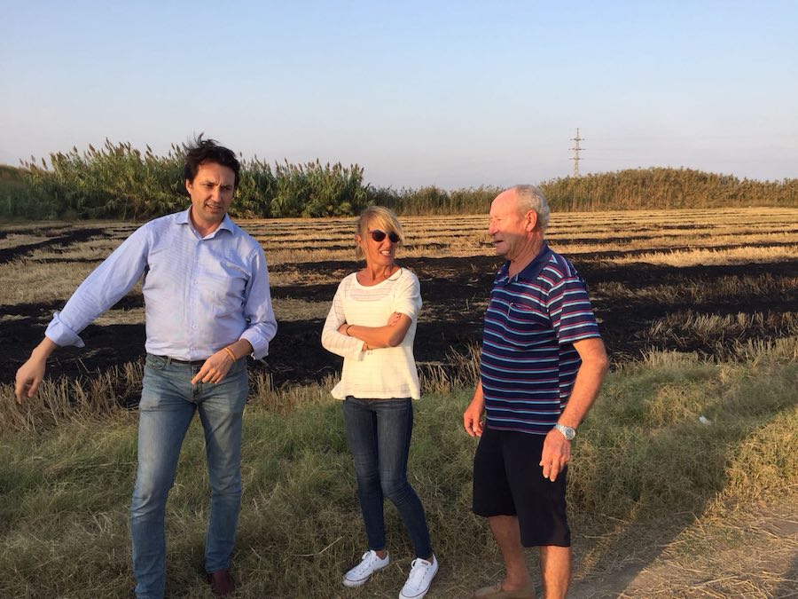 Vicente Betoret, Ana Basco y José Manuel Gironés en l'Albufera, donde los agricultores queman la paja de arroz