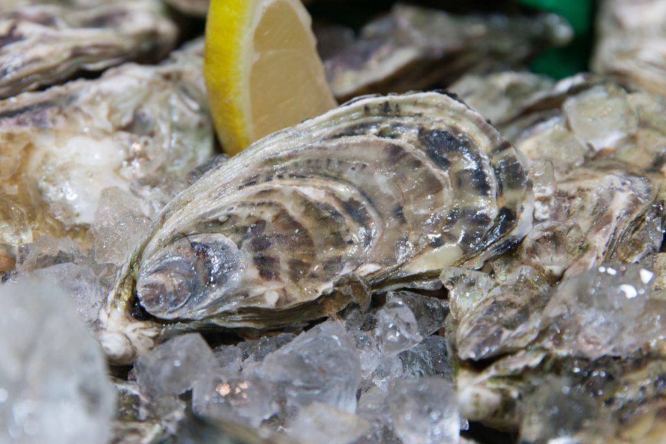 Dónde comer las mejores ostras en Valencia: Le Claire Oyster Bar