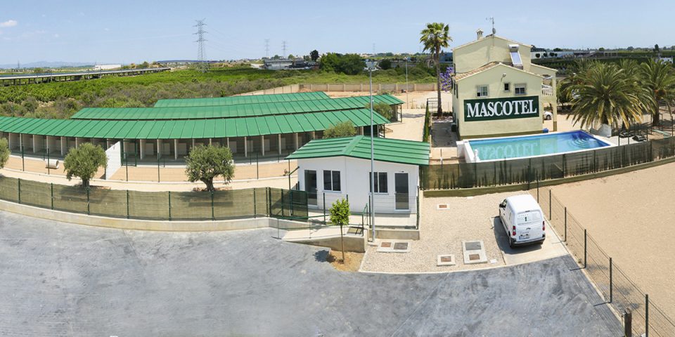 MASCHOTEL