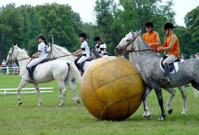 Hipódromo de Pardubice
