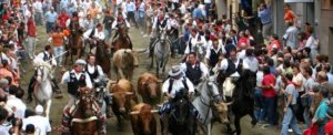 En verano, los pueblos de Valencia se llenan de actividades donde la gastronomía, la cultura, las verbenas, las procesiones, la pirotecnia, los toros y mercados artesanos, entre otros eventos, destacan en la gran mayoría de fiestas patronales o mayores.