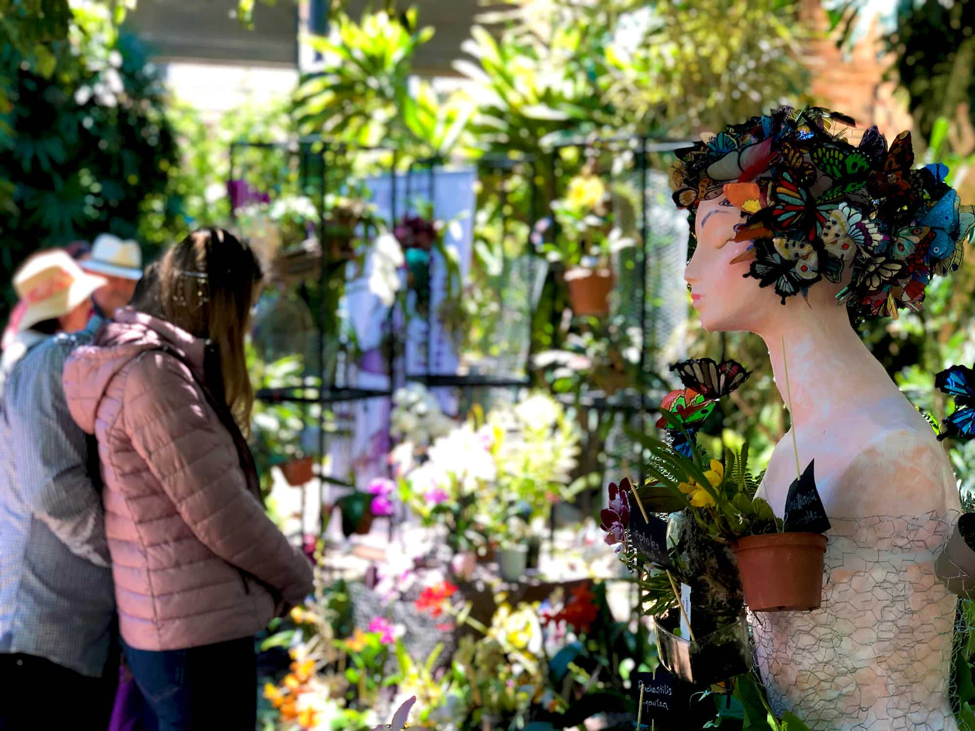 MAYO, MES DE LAS ORQUÍDEAS AL BOTÁNICO