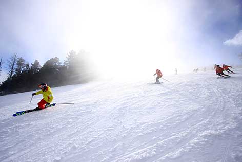 Pirineo Francés