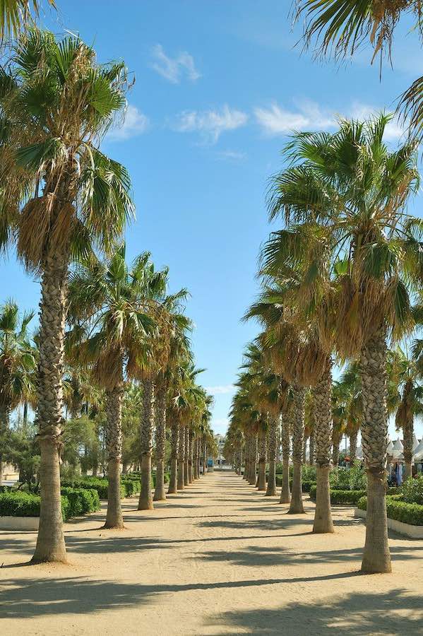 Paseo marítimo, para pasar una mañana ideal por Valencia