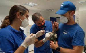 Miembros de la Fundación Oceanográfic con la cría