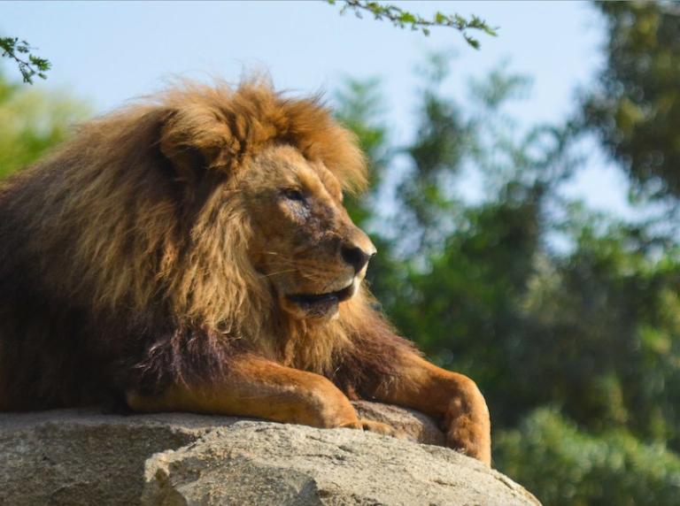 Parque Bioparc Valencia