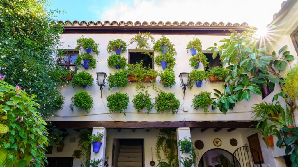 cordoba patio