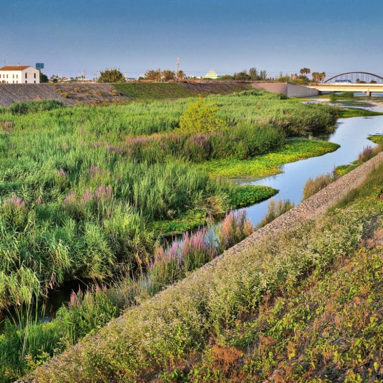 alboraya
