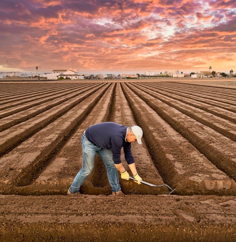 alboraya 