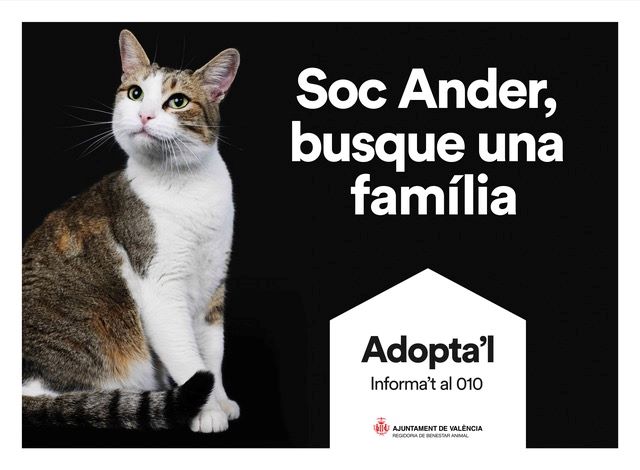 Adopta´l