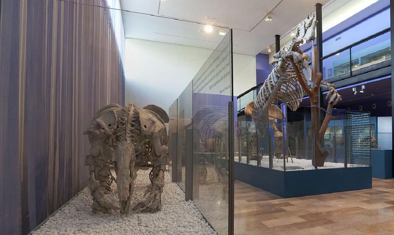 museo de ciencias