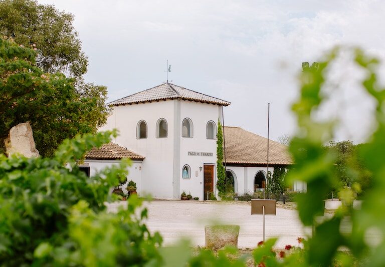 Cavas y vinos gourmet valencianos Pago de Tharsys