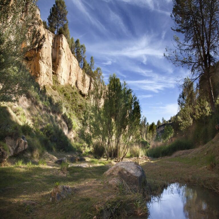 Escapada Requena